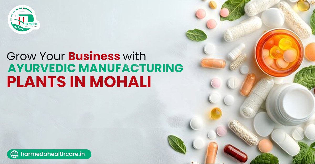 Grow your business with Ayurvedic manufacturing plant in Mohali.