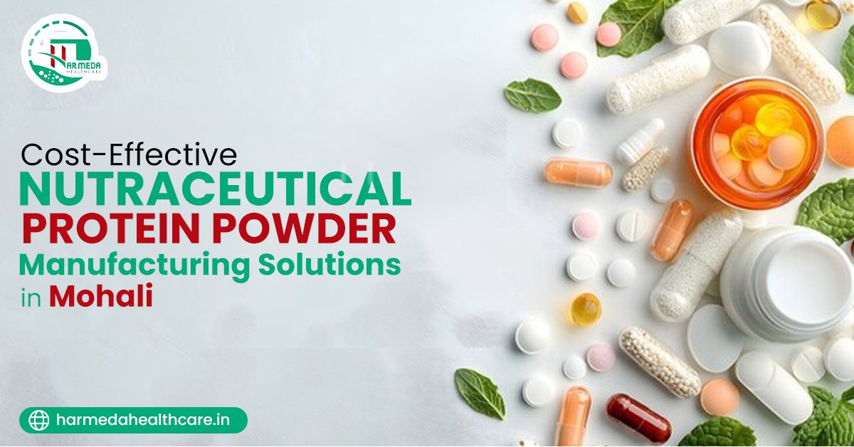 Cost-effective nutraceutical protein powder manufacturing solutions in Mohali